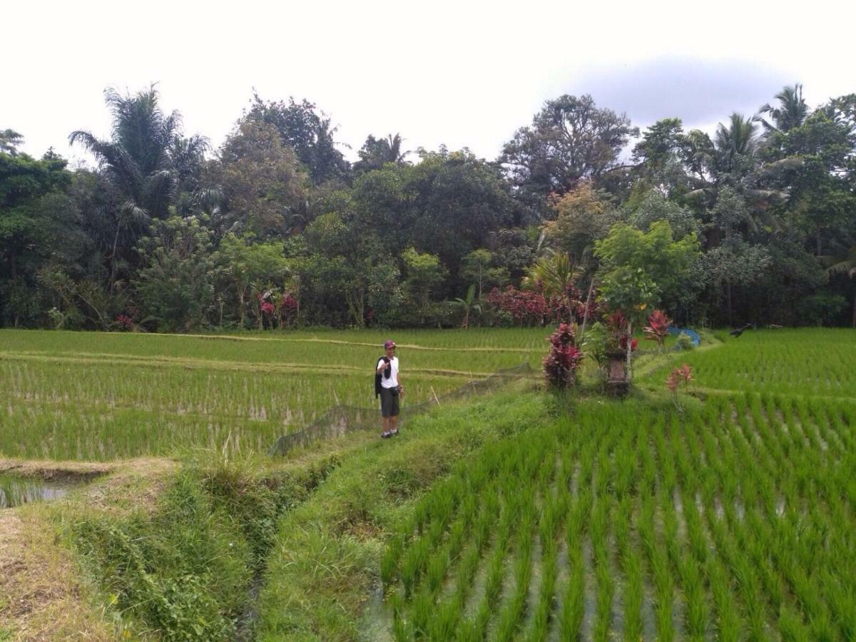 Bali Asli Lodge By Eps Ubud Buitenkant foto
